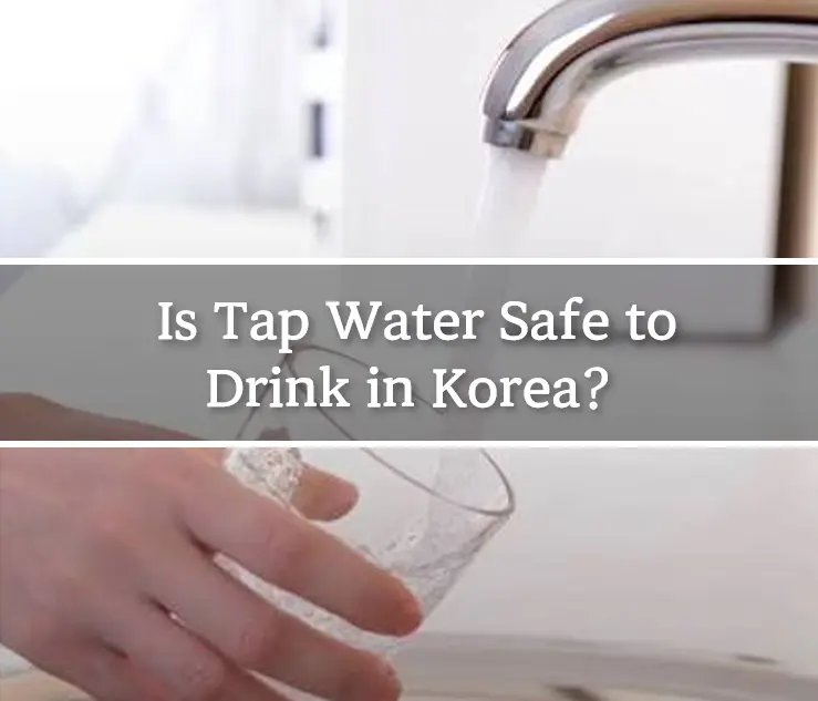 Is Tap Water Safe to Drink in Korea